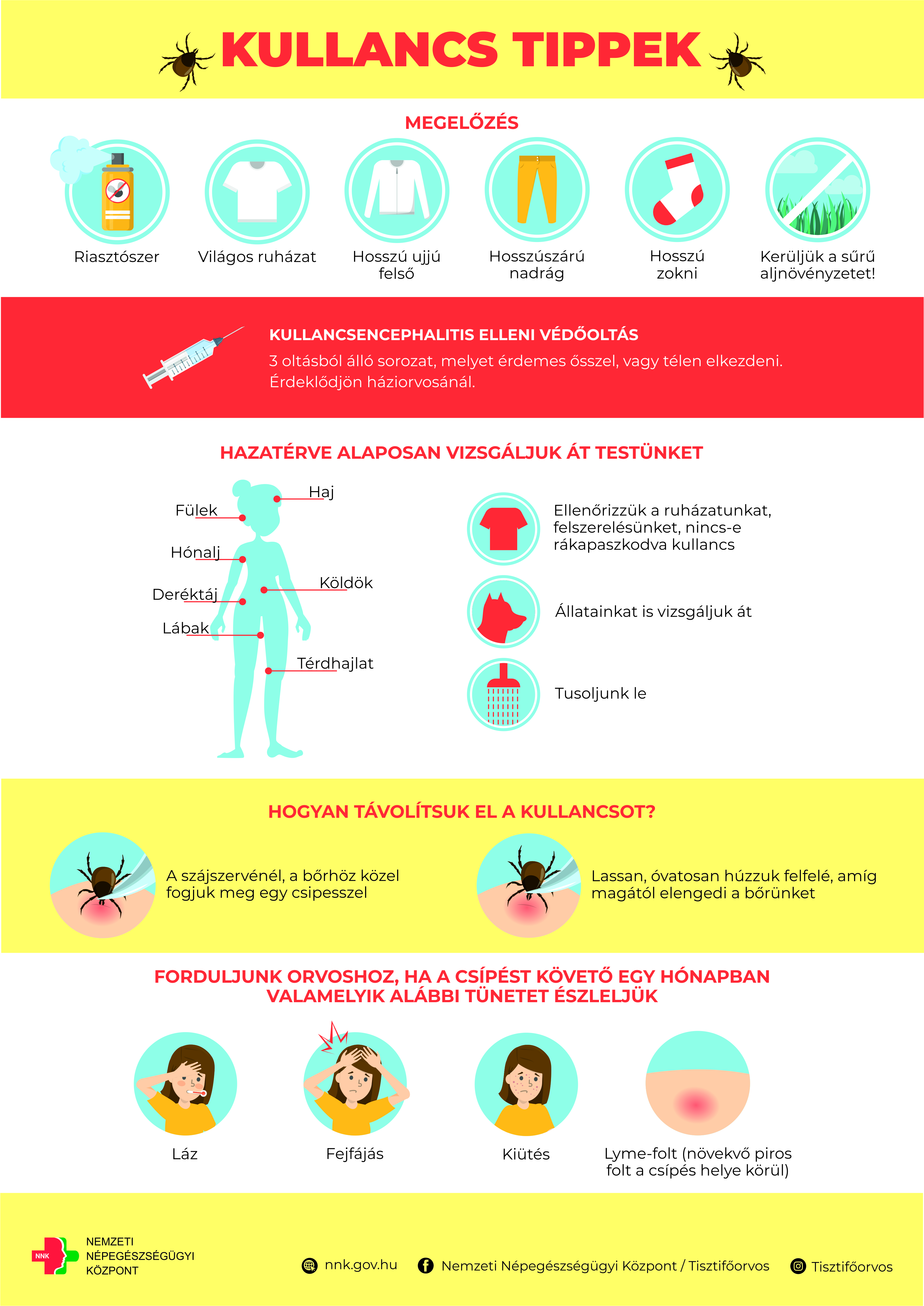 Koronavírus, megfázás, influenza vagy allergia?
